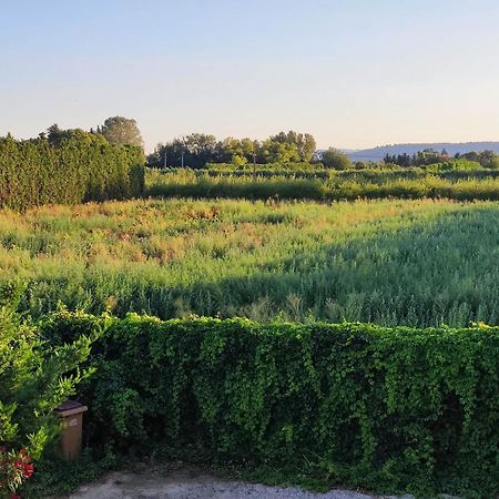 Chambre 3 Personnes Avec Salle De Bain Dans Mas Du Luberon Robion en Luberon Exteriör bild