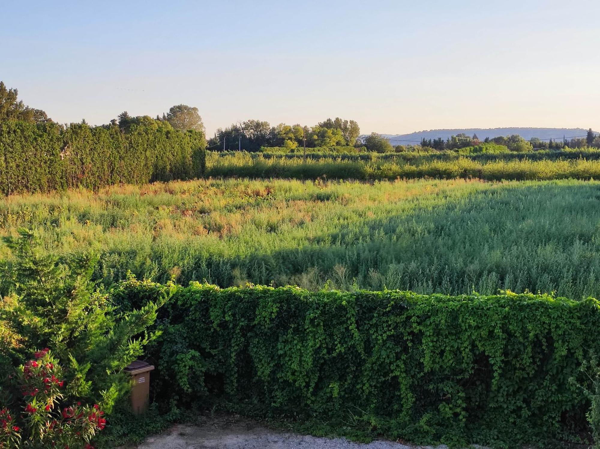Chambre 3 Personnes Avec Salle De Bain Dans Mas Du Luberon Robion en Luberon Exteriör bild